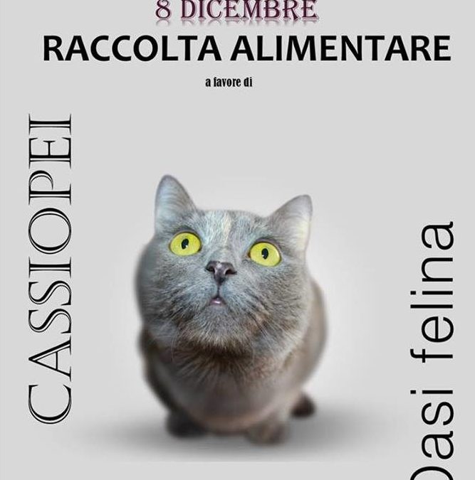 Raccolta alimentare – 8 Dicembre