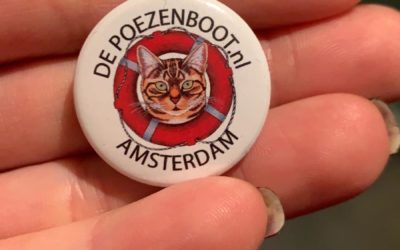 I gatti galleggianti di Amsterdam: il Poezenboot