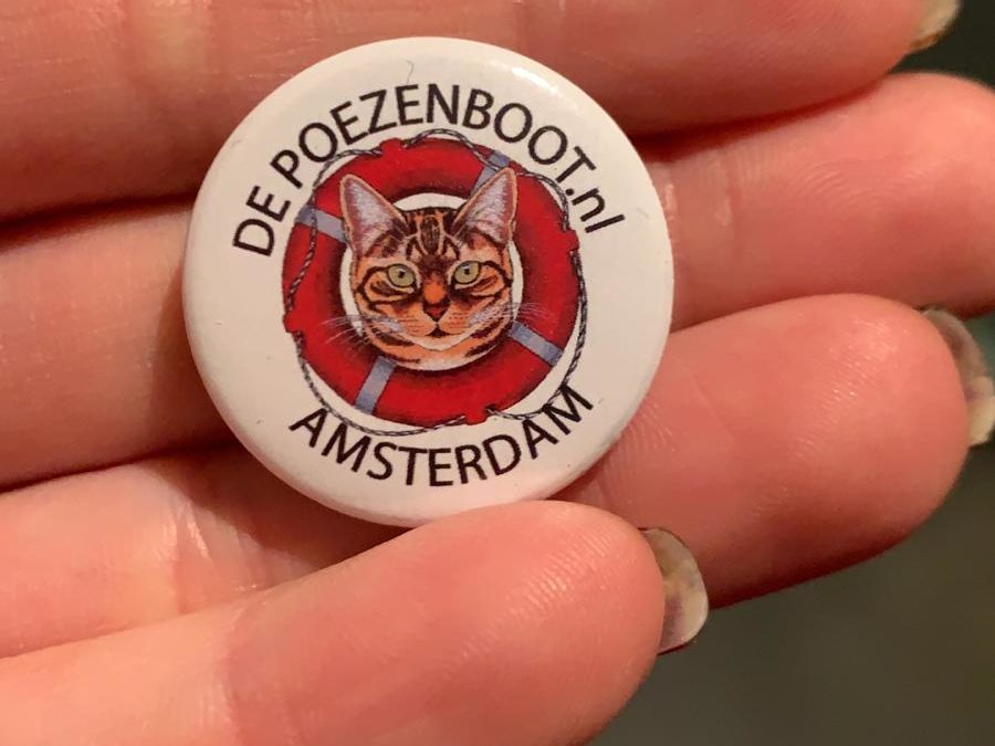 I gatti galleggianti di Amsterdam: il Poezenboot