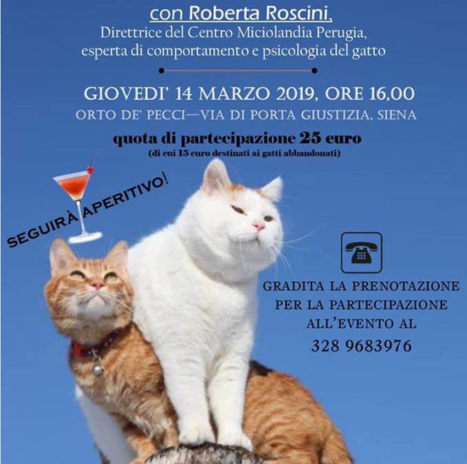 L’inserimento di un nuovo gatto. Problemi di convivenza fra gatti – 14 Marzo