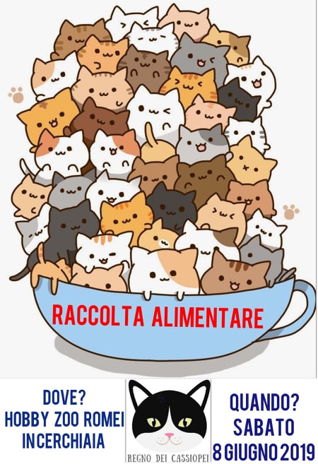 Raccolta alimentare – 8 Giugno